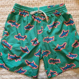 Chubbies Men's Stretch Lined Swim Trunk